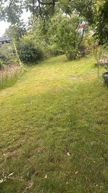 Foto - Grundstück zur Miete in Lambrechtshagen