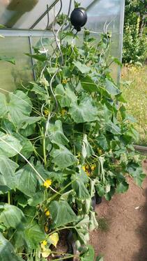 Foto - Grundstück in Lambrechtshagen