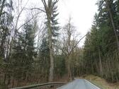 Foto - Netzschkau , Stoppbachtalstr. , acht Flurstücke mit zus.3030 qm