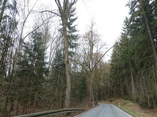 Foto - Netzschkau , Stoppbachtalstr. , acht Flurstücke mit zus.3030 qm