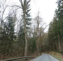 Netzschkau , Stoppbachtalstr. , acht Flurstücke mit zus.3030 qm