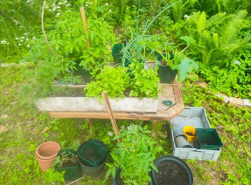Foto - Erholungsgrundstück zur Pacht am Straussee