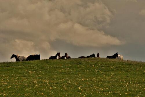 Foto - Einfamilienhaus zum Kaufen in Idar-Oberstein
