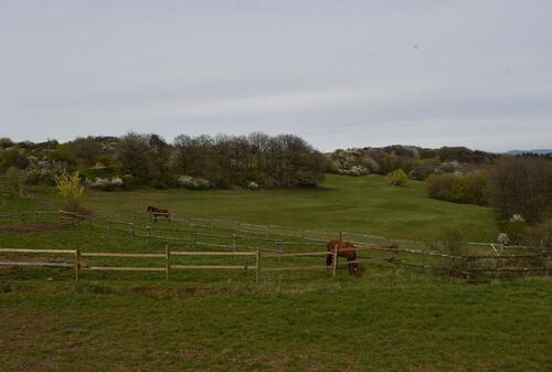 Foto - Einfamilienhaus in Idar-Oberstein