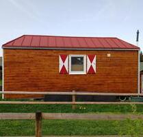 Tinyhaus auf Rädern - Minihaus - 57.000,00 EUR Kaufpreis, in Flörsheim am Main (PLZ: 65439)
