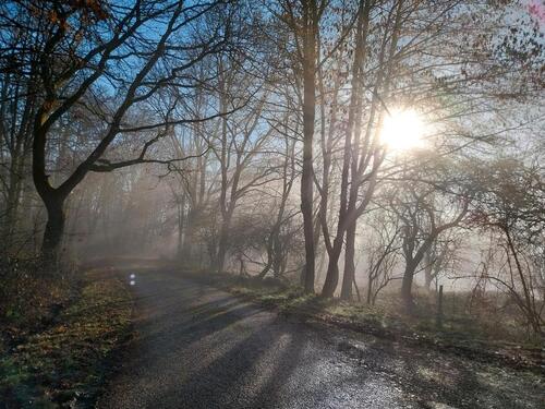 Foto - andere zur Miete in Dornburg