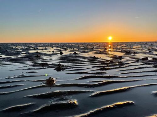 Foto - andere in Büsum zur Miete
