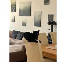 2 Zimmer Wohnung Hanau - 920,00&nbsp;EUR Kaltmiete, ca.&nbsp; 61,00&nbsp;m&sup2; in Hanau (PLZ: 63450)