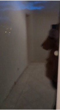 Foto - 2 Zimmer Etagenwohnung zur Miete in Pforzheim