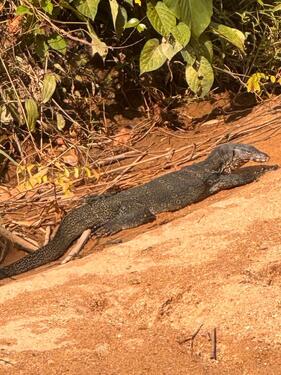 Foto - Etagenwohnung zur Miete in Aachen