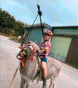 Foto - andere zur Miete in Hanerau-Hademarschen