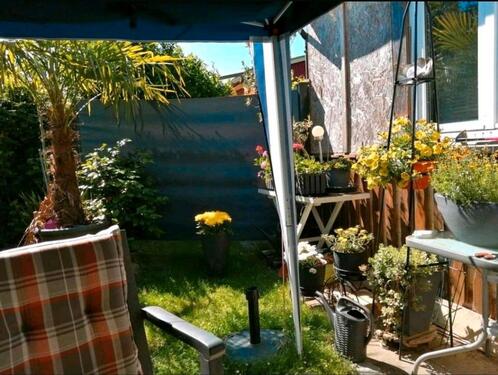 Foto - Grundst&uuml;ck zur Miete in Greifswald