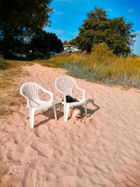 Foto - Grundst&uuml;ck in Greifswald