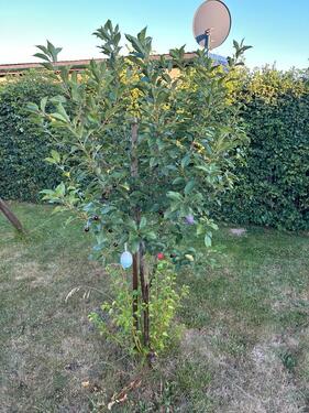 Foto - Grundst&uuml;ck in Leipzig zur Miete