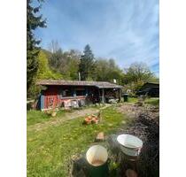 Flachhäuschen im Grünen - 410,00&nbsp;EUR Kaltmiete, ca.&nbsp; 40,00&nbsp;m&sup2; in Schlüchtern (PLZ: 36381)