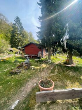 Foto - 2 Zimmer Bungalow zur Miete in Schlüchtern