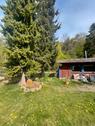 Foto - 2 Zimmer Bungalow in Schlüchtern