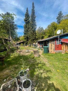 Foto - Bungalow in Schlüchtern zur Miete