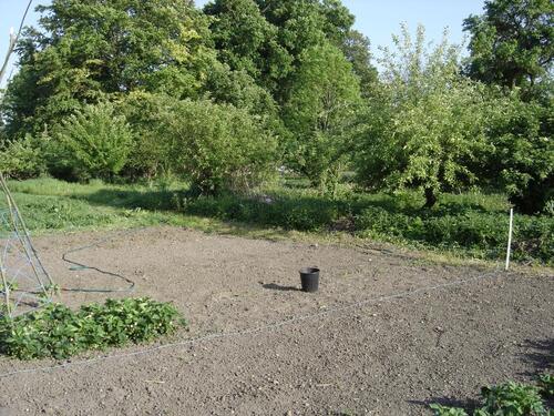 Foto - Einfamilienhaus in Gnoien zum Kaufen