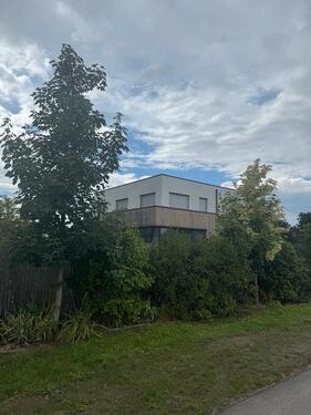 Foto - 5 Zimmer Einfamilienhaus in München