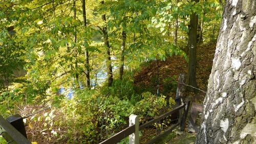 Foto - Einfamilienhaus in Mittweida