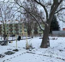 3 Zimmerwohnung in Dessau-Roßlau