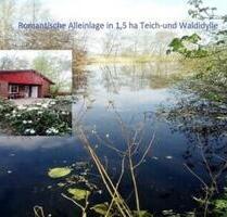 FerienhausTeichperle in ALLEINLAGE 1.5ha im Wald am Teich - Moormerland