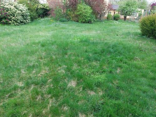 Foto - 2 Zimmer Einfamilienhaus zum Kaufen in Pyrbaum