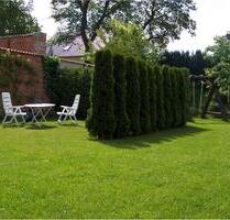 Schöne, zentral gelegene 2-R-Wohnung mit EBK und Garten in Burg - Magdeburg Diesdorf