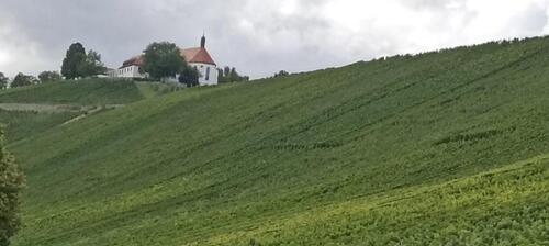 Foto - 