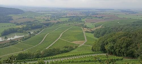 Foto - Ferienwohnung Meeblick, Volkach OT Köhler