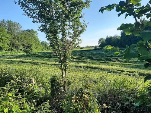 Foto - Wohnung in Ostseenähe 2,5-Zimmer in Vogelsang-Grünholz
