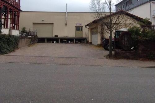 Foto - andere in Maikammer