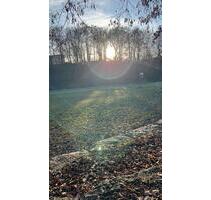 Garten, Kleingarten, Grundstück in Nürnberg und Umgebung