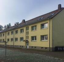 Preiswerte sanierte 2 Zi Wohnung in Bad Schmiedeberg ruhiger Lage