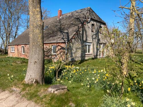 Foto - Einfamilienhaus zum Kaufen in Butjadingen