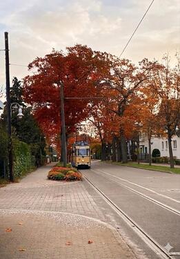 Foto - Einfamilienhaus in Woltersdorf zum Kaufen