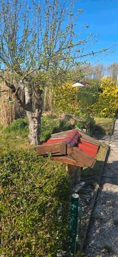 Foto - Kleingarten K.g.v. Rittbruck Lübeck