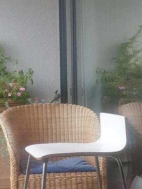 Foto - wohnung für 2 Monate frei - 1.350,00 EUR Kaltmiete,