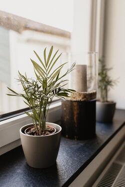 Foto - andere in Obergünzburg