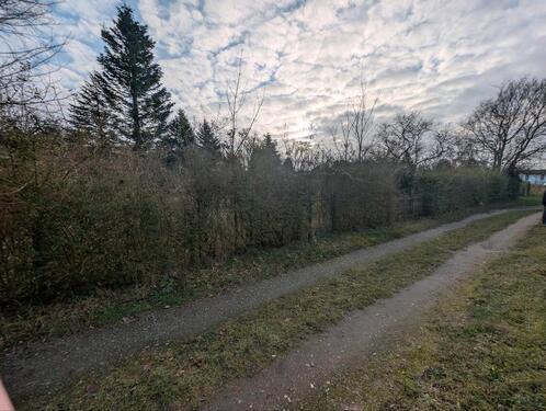 Foto - Idyllischer Garten in Schwaan abzugeben - Lohnnachweis Pflicht