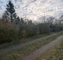 Idyllischer Garten in Schwaan abzugeben - Lohnnachweis Pflicht