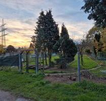 Gartengrundstück in Mönchengladbach-Dohr - Viersen Hülsdonk