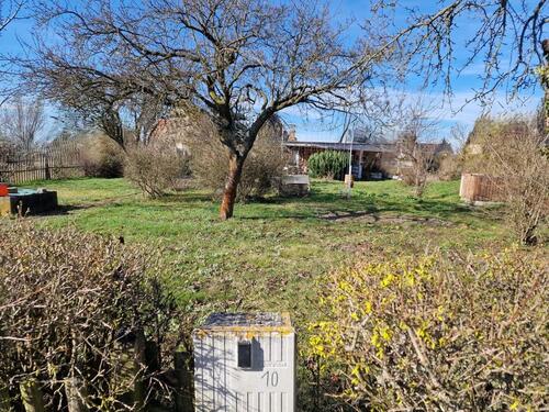 Foto - Garten Kleingarten Pachtgarten in Kleingartenverein