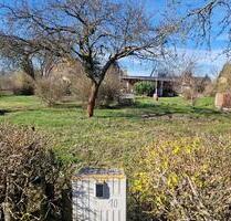 Garten Kleingarten Pachtgarten in Kleingartenverein - Schkeuditz