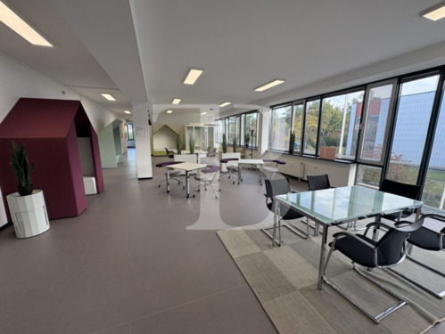 Foto - andere in Darmstadt