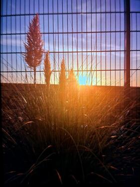 Foto - 4 Zimmer Doppelhaushälfte in Alzey