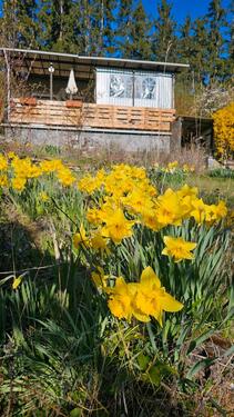 Foto - Grundst&uuml;ck zur Miete in Saalfeld (Saale)