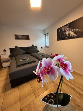 Foto - Ferienwohnung Monteurwohnung OXE 204 Ochsenfurt