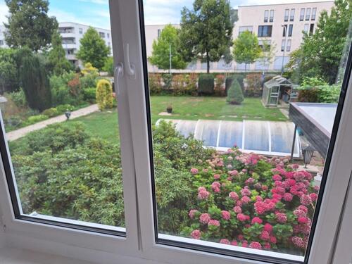 Foto - Kernsanierte Terrassenwohnung m. Pool und incl. Stellplatz, 77654